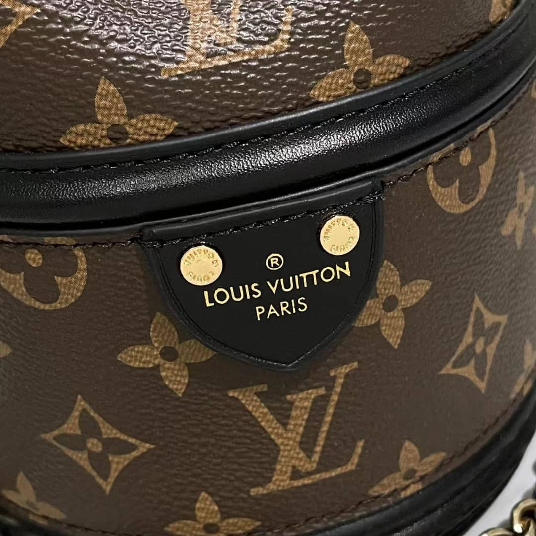 Lv Monogram bag